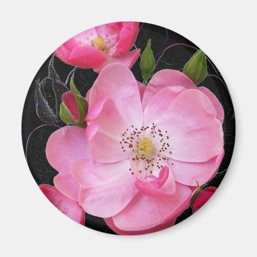 小さなバラの芽が開く マグネット (正面)