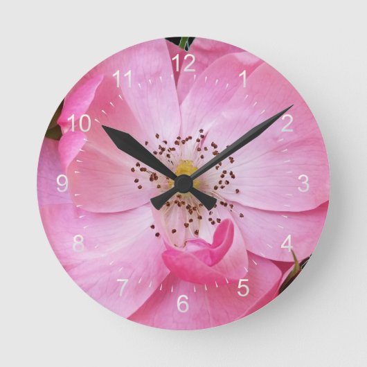小さなバラの芽が開く ラウンド壁時計 (正面)