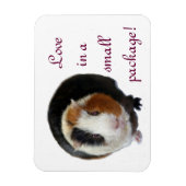 小さなパッケージで愛する マグネット (縦)