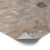 小さなヒキガエル ポスター (角)