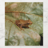 小さなヒキガエル ワインラベル (シングルラベル)