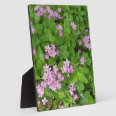 小さなピンクの上品な野の花 フォトプラーク (側面)