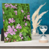 小さなピンクの上品な野の花 フォトプラーク (側面)