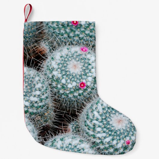小さなピンクの花を持つサボテンの植物 スモールクリスマスストッキング (正面)