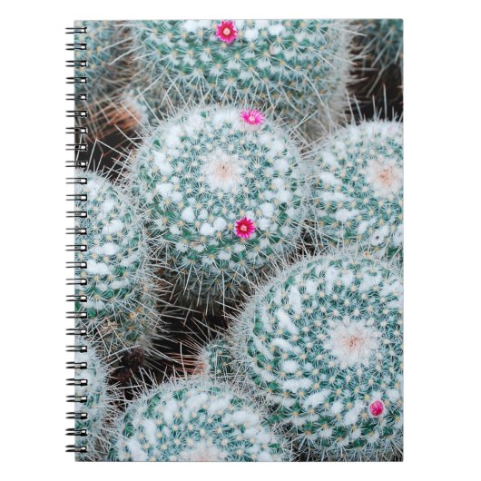 小さなピンクの花を持つサボテンの植物 ノートブック (正面)