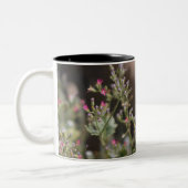 小さなピンクの野生の花Coachella Valley Wildlife Tw ツートーンマグカップ (左)