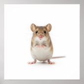 小さなフィールドマウスアート ポスター (正面)