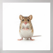 小さなフィールドマウスアート