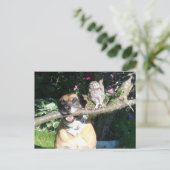 小さなフクロウと大きな犬 ポストカード (スタンド正面)