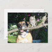 小さなフクロウと大きな犬 ポストカード (正面/裏面)