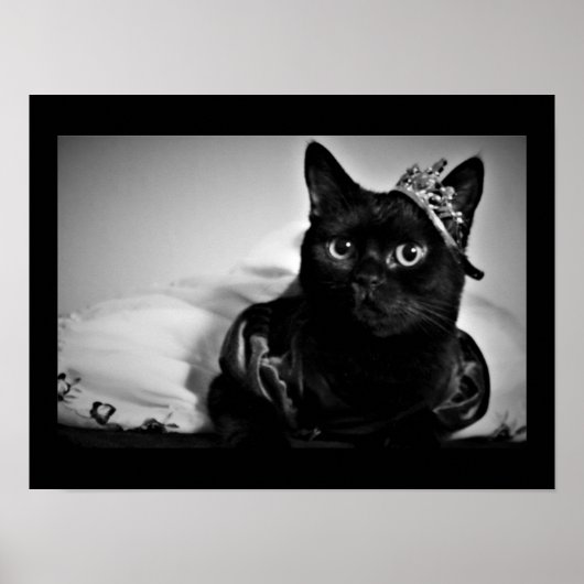 小さなプリンセスポスター ポスター (正面)