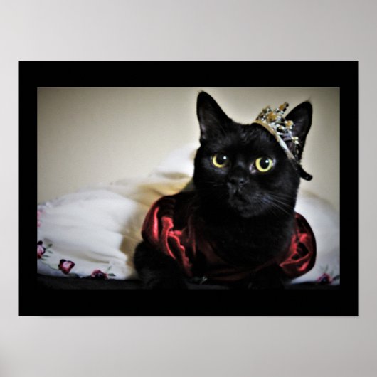 小さなプリンセス ポスター (正面)