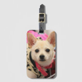 小さなヘルパー ラゲッジタグ (正面縦)