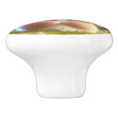 小さなヘーゼルナッツ セラミックノブ (側面)