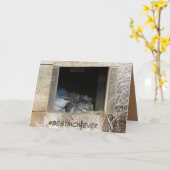 小さなペンギンが登場するマザーズデイカード カード (黄色い花)