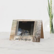 小さなペンギンが登場するマザーズデイカード