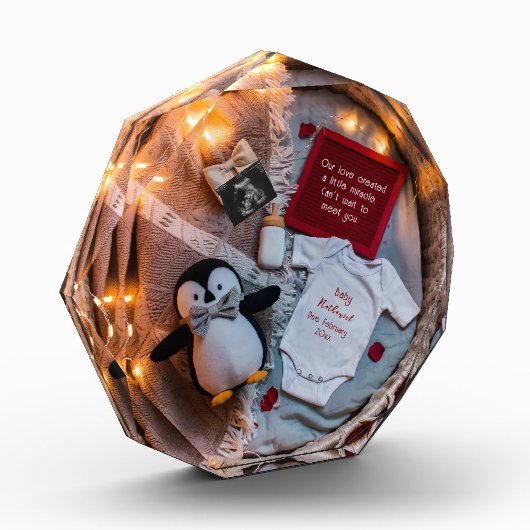 小さなペンギンは妊娠の発表を愛している フォトブロック (左)