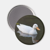 小さなホワイトアヒル マグネット (正面/裏面)