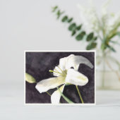 小さなポストカード4.25インチx 5.6インチ ポストカード (スタンド正面)