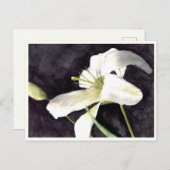 小さなポストカード4.25インチx 5.6インチ ポストカード (正面/裏面)