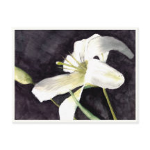 小さなポストカード4.25インチx 5.6インチ