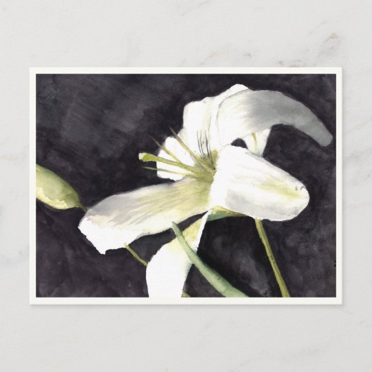 小さなポストカード4.25インチx 5.6インチ ポストカード (正面)