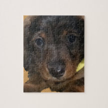 小さなポンパー