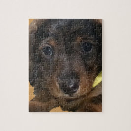 小さなポンパー ジグソーパズル