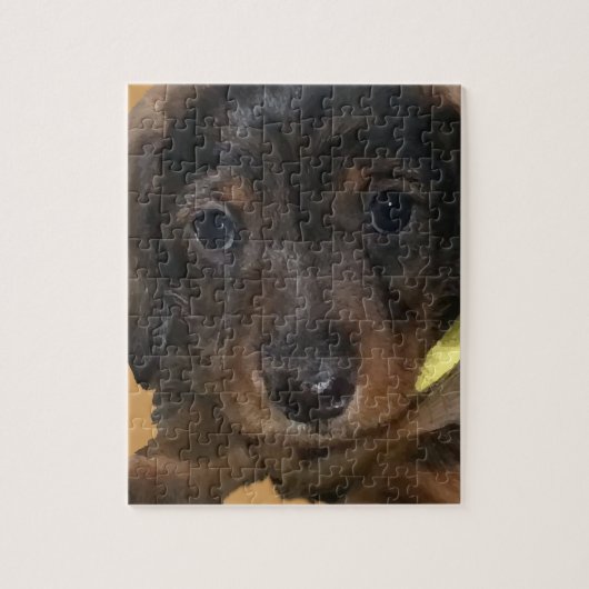 小さなポンパー ジグソーパズル (縦)