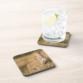 小さなマウンドにチーターを設置することで視認性を向上 コースター (右側)