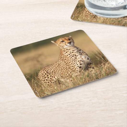 小さなマウンドにチーターを設置することで視認性を向上 スクエアペーパーコースター (アングル)