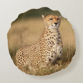 小さなマウンドにチーターを設置することで視認性を向上 ラウンドクッション (裏面)