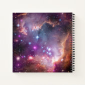 小さなマゼラン雲の中の若い星。 ノートブック (裏面)