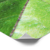 小さなマンティス ポスター (角)