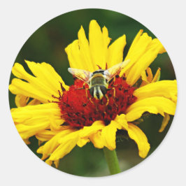 小さなミツバチが黄色いオレンジ色の野草に乗る ラウンドシール