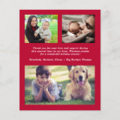 小さなメリークリスマス写真の誕生発表 (裏面)