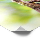 小さなリスのポスターのかわいい写真 ポスター (角)