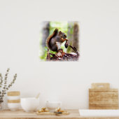 小さなリスのポスターのかわいい写真 ポスター (キッチン)