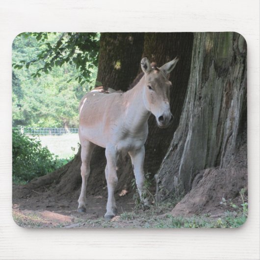 小さなロバ マウスパッド (正面)
