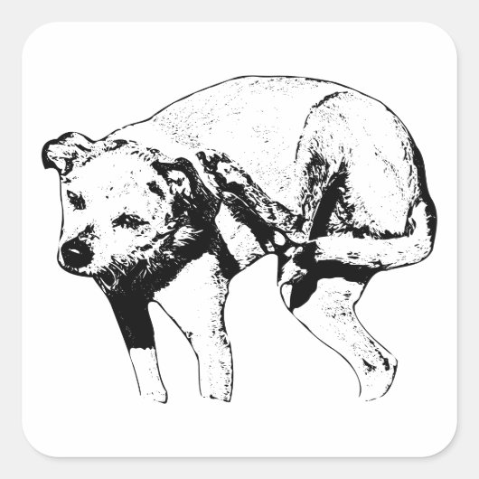 小さな不気味スクラッチ スクエアシール (正面)