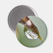 小さな世界水滴 マグネット (正面/裏面)