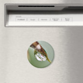 小さな世界水滴 マグネット (インサイチュ (食洗機))