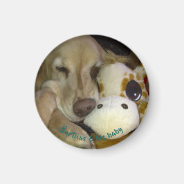 小さな丸いバーチカスとキリン磁石 マグネット