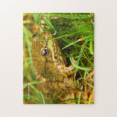 小さな予測できなグリーンカエルとの一方的な対話 ジグソーパズル (縦)