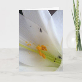 小さな事を許さないで… シーズンカード