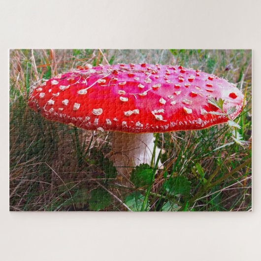 小さな人々がアイルランドに住んでいるレプレチャウン ジグソーパズル (横)