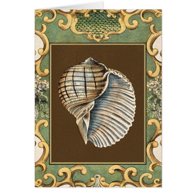 小さな人魚の貝殻 (正面)