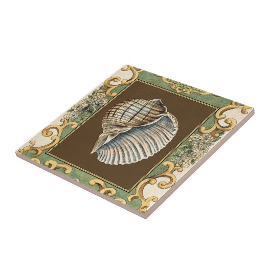 小さな人魚の貝殻 タイル (側面)