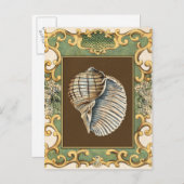 小さな人魚の貝殻 ポストカード (正面/裏面)