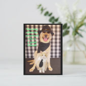 小さな仲間 ポストカード (スタンド正面)